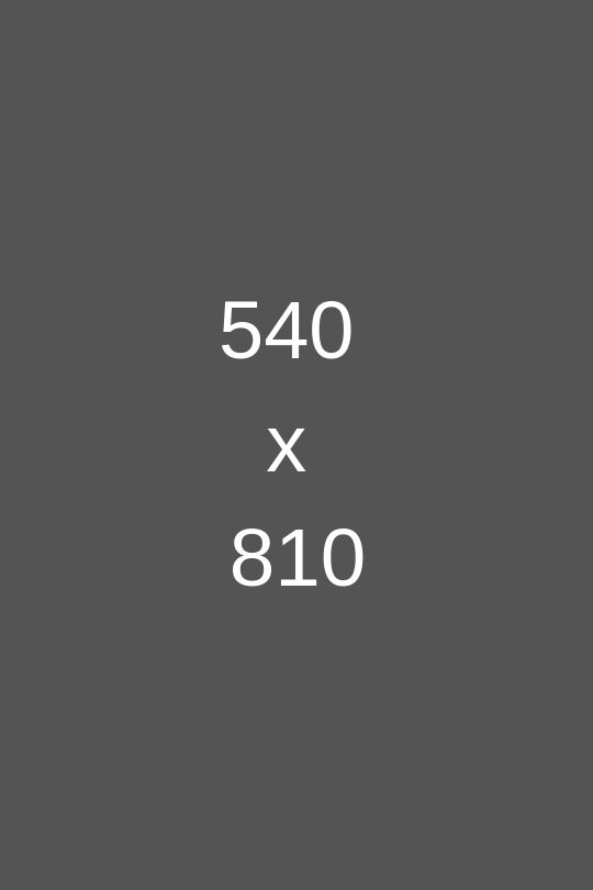 540-x-810.png