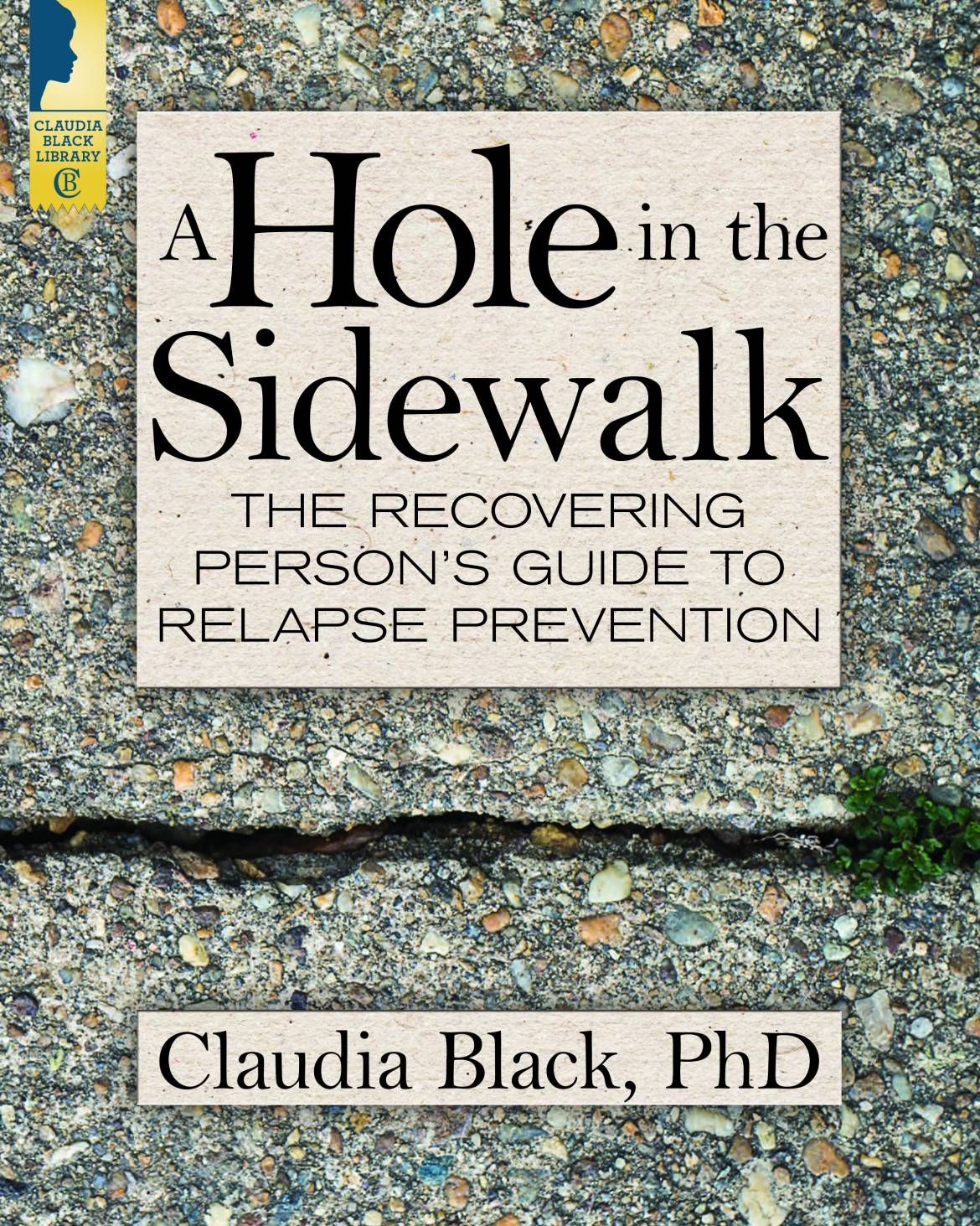 holeinthesidewalk.jpg